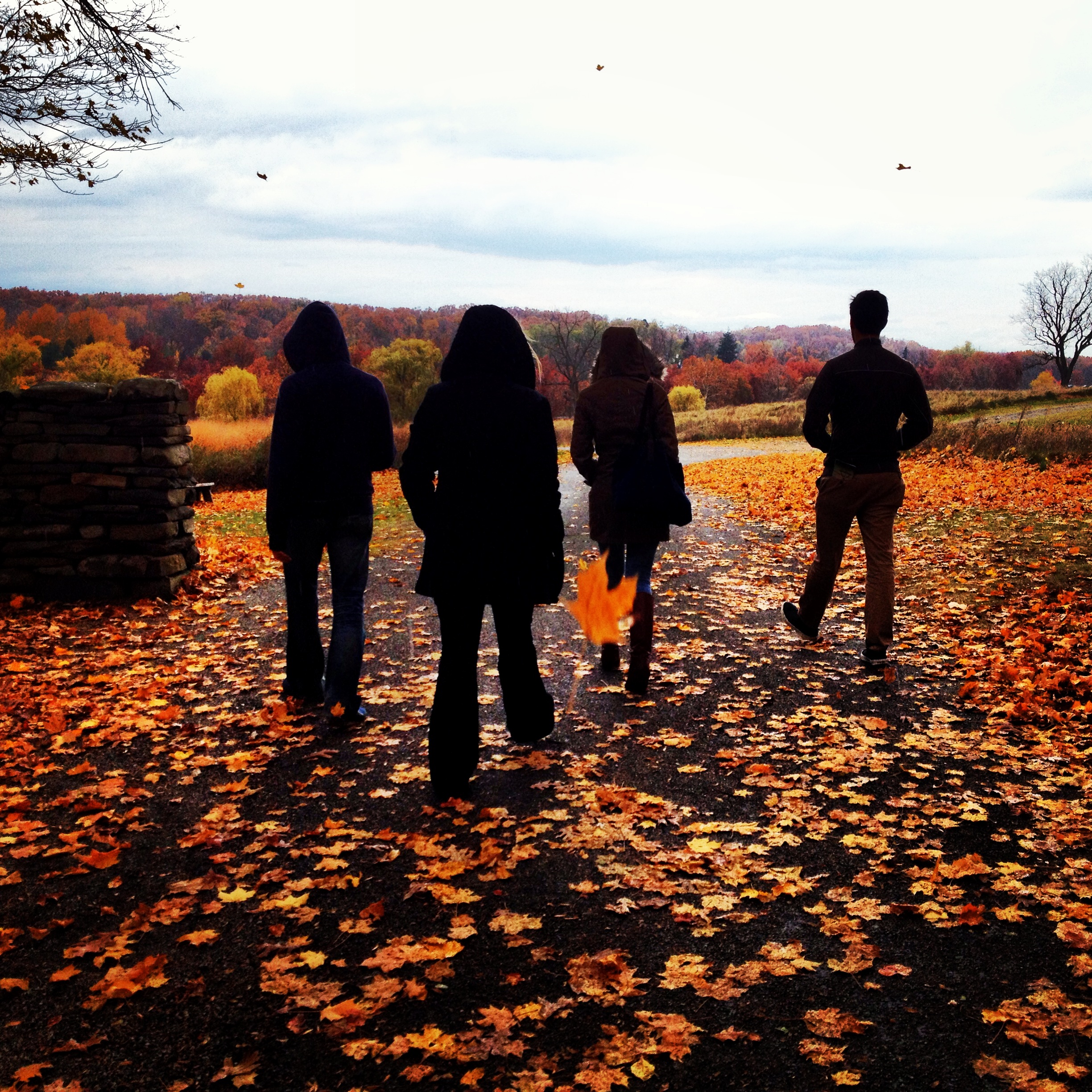 Friends walking while leaves surround them. Storm King Art Center. NY.